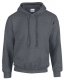 (image for) Hoodie, Adult